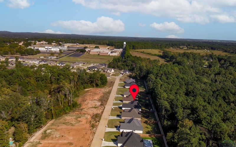 313 Saddle Brook Drive, Hallsville, TX 75650, 4 Habitaciones Habitaciones , ,3 BañosBaños,Residential,En Venta,313 Saddle Brook Drive,0,20256933