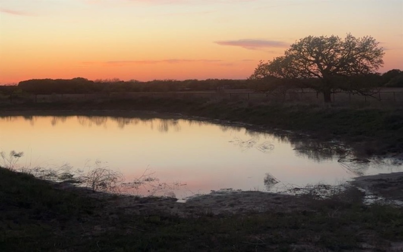 9955 Allison Court, Lipan, TX 76462, 1 Dormitorio Habitaciones , ,1 BañoBaños,Residential,En Venta,9955 Allison Court,0,21070406