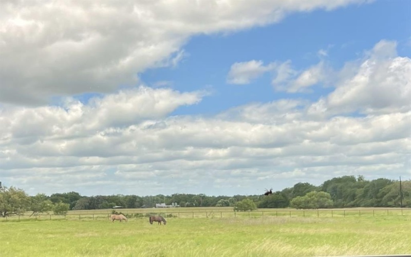 9955 Allison Court, Lipan, TX 76462, 1 Dormitorio Habitaciones , ,1 BañoBaños,Residential,En Venta,9955 Allison Court,0,21070406