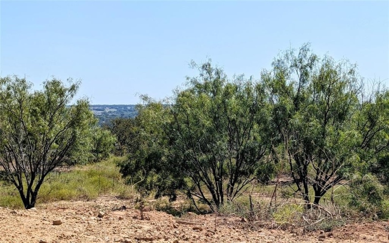 467 Weatherby Way, Santo, TX 76472, ,Land,For Sale,467 Weatherby Way,0,21082370