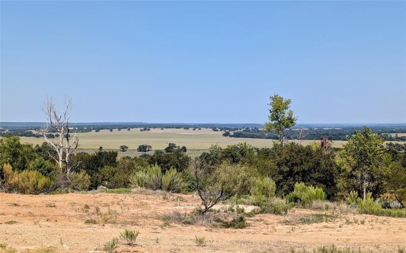 467 Weatherby Way, Santo, TX 76472, ,Land,For Sale,467 Weatherby Way,0,21082370