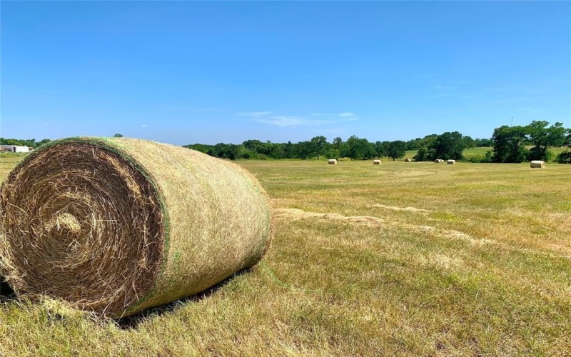 2973 Eddy Gatesville Parkway, Eddy, TX 76524, 4 Bedrooms Bedrooms, ,2 BathroomsBathrooms,Residential,For Sale,2973 Eddy Gatesville Parkway,0,21081607