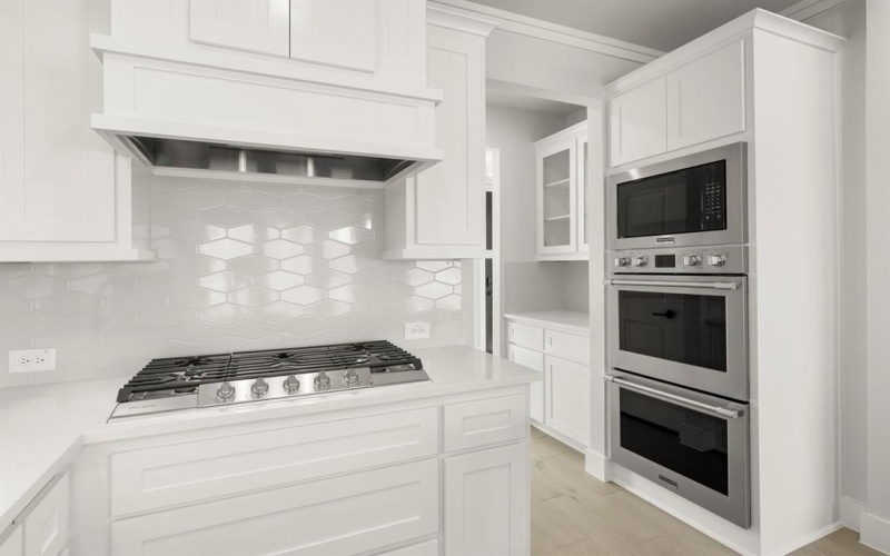 2716 Warm Springs Lane, Celina, TX 75009, 4 Habitaciones Habitaciones , ,5 BañosBaños,Residential,En Venta,2716 Warm Springs Lane,0,21083784