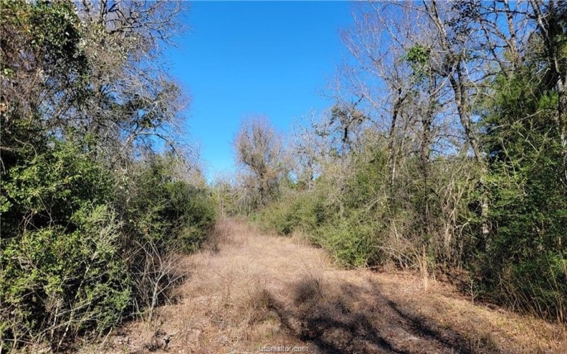 Lot 25 High Meadow Trail, Franklin, TX 77856, 6 Habitaciones Habitaciones , ,5 BañosBaños,Residential,En Venta,Lot 25 High Meadow Trail,25001492