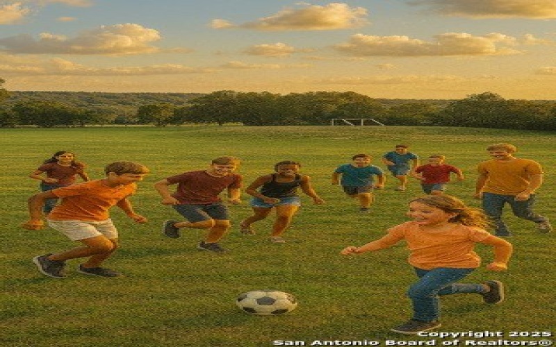 660 Cypress pass, Spring Branch, TX 78070, 4 Bedrooms Bedrooms, ,2 BathroomsBathrooms,Residential,For Sale,660 Cypress pass,0,1914929