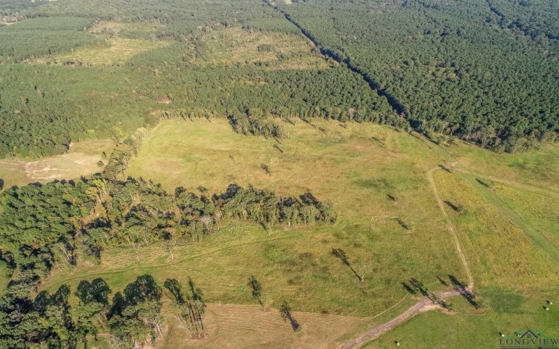 3280 N FM 450, Hallsville, TX 75650, 1 Bedroom Bedrooms, ,1 BathroomBathrooms,Residential,For Sale,3280 N FM 450,0,20257011