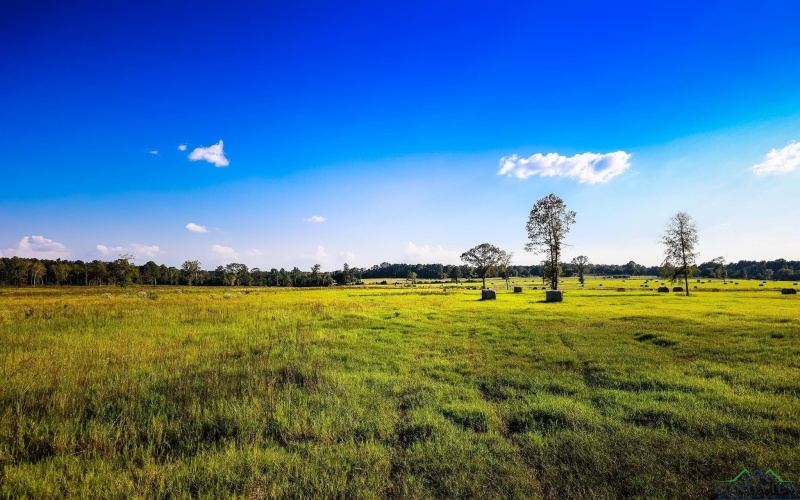 3280 N FM 450, Hallsville, TX 75650, 1 Bedroom Bedrooms, ,1 BathroomBathrooms,Residential,For Sale,3280 N FM 450,0,20257011