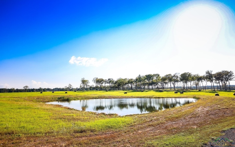 3280 N FM 450, Hallsville, TX 75650, 1 Bedroom Bedrooms, ,1 BathroomBathrooms,Residential,For Sale,3280 N FM 450,0,20257011