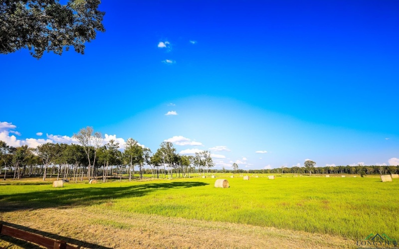 3280 N FM 450, Hallsville, TX 75650, 1 Bedroom Bedrooms, ,1 BathroomBathrooms,Residential,For Sale,3280 N FM 450,0,20257011