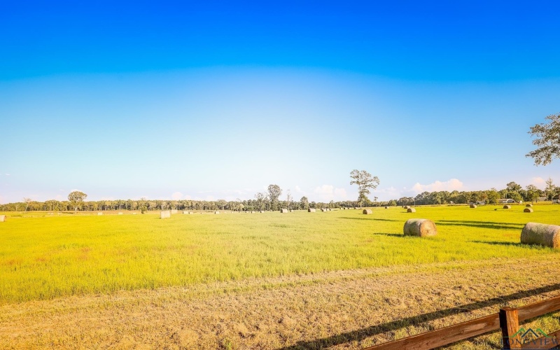 3280 N FM 450, Hallsville, TX 75650, 1 Bedroom Bedrooms, ,1 BathroomBathrooms,Residential,For Sale,3280 N FM 450,0,20257011