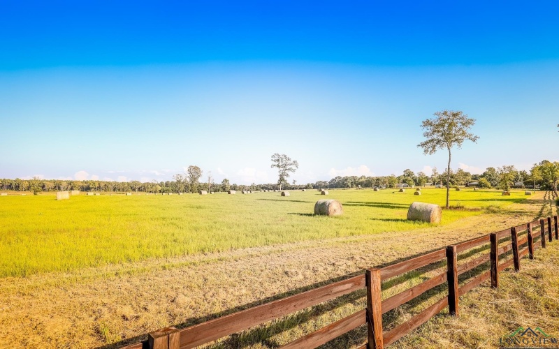 3280 N FM 450, Hallsville, TX 75650, 1 Bedroom Bedrooms, ,1 BathroomBathrooms,Residential,For Sale,3280 N FM 450,0,20257011