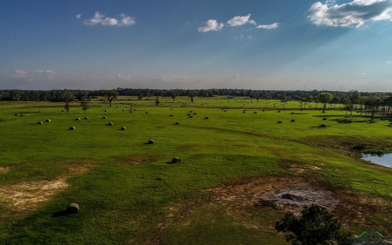 3280 N FM 450, Hallsville, TX 75650, 1 Bedroom Bedrooms, ,1 BathroomBathrooms,Residential,For Sale,3280 N FM 450,0,20257011