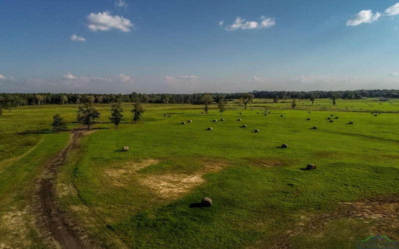 3280 N FM 450, Hallsville, TX 75650, 1 Bedroom Bedrooms, ,1 BathroomBathrooms,Residential,For Sale,3280 N FM 450,0,20257011