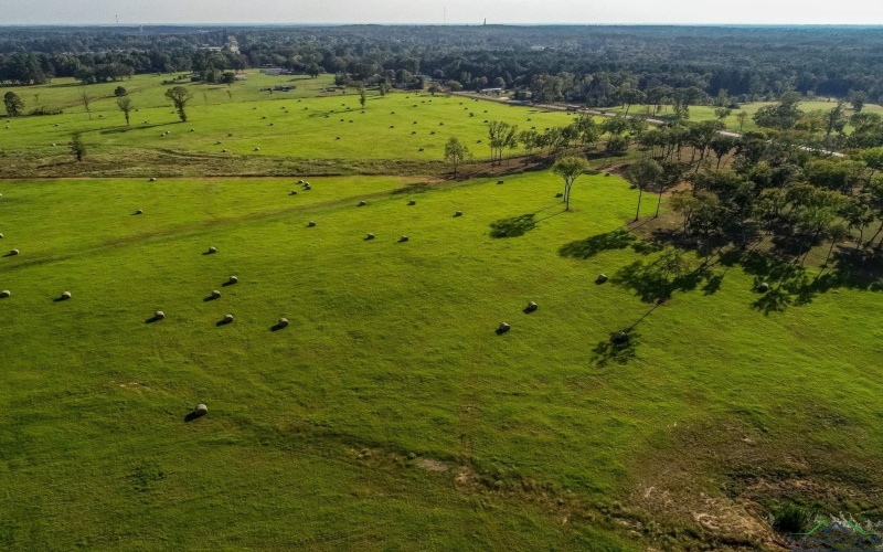 3280 N FM 450, Hallsville, TX 75650, 1 Bedroom Bedrooms, ,1 BathroomBathrooms,Residential,For Sale,3280 N FM 450,0,20257011