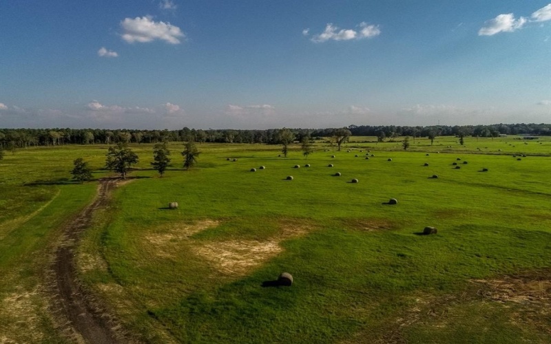 3280 N FM 450, Hallsville, TX 75650, 1 Dormitorio Habitaciones , ,1 BañoBaños,Residential,En Venta,3280 N FM 450,0,21085592