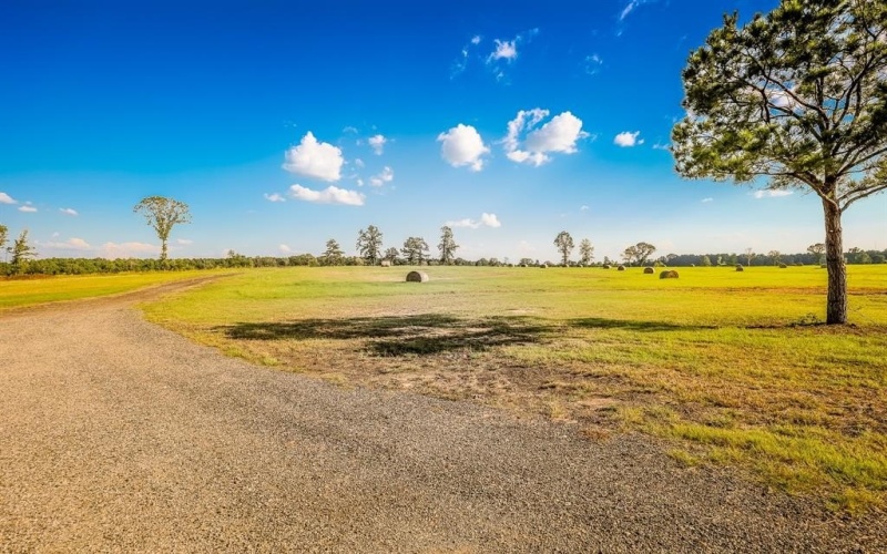 3280 N FM 450, Hallsville, TX 75650, 1 Dormitorio Habitaciones , ,1 BañoBaños,Residential,En Venta,3280 N FM 450,0,21085592