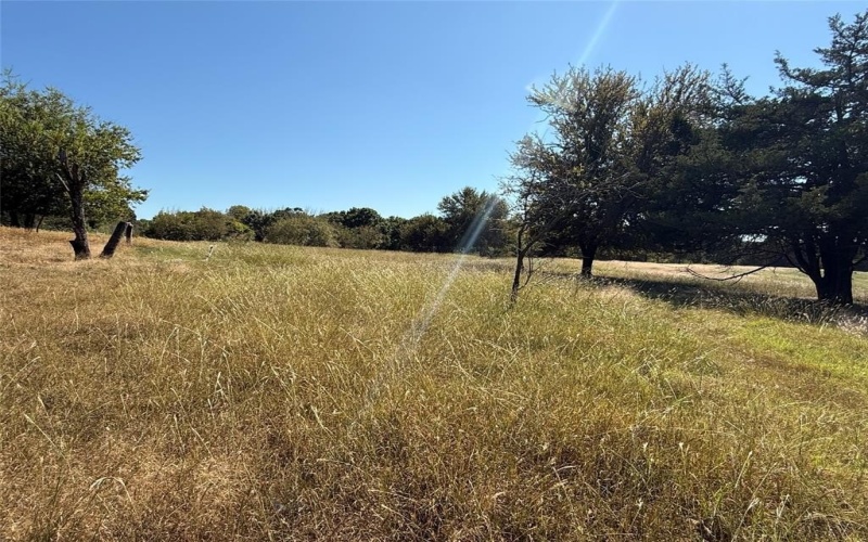 18081 Burden Ranch, Farmersville, TX 75442, ,Otro,En Venta,18081 Burden Ranch,0,21085768