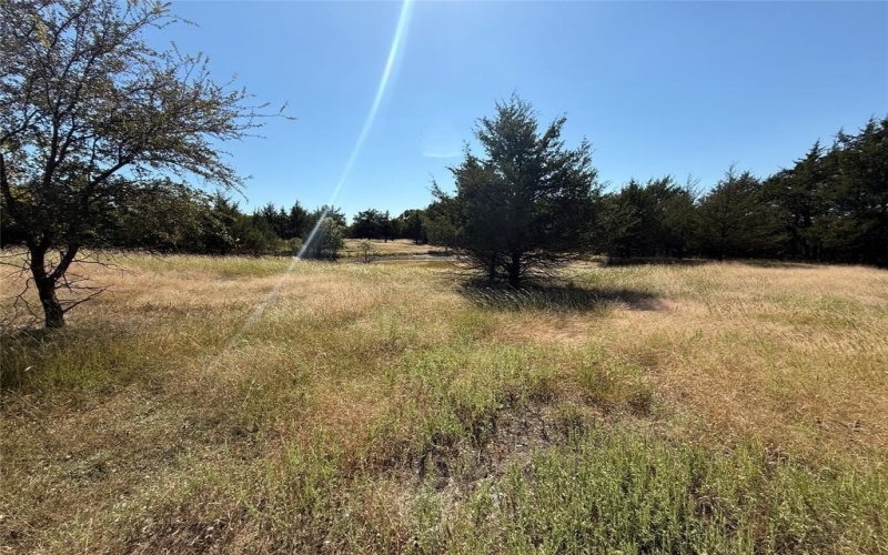 18081 Burden Ranch, Farmersville, TX 75442, ,Otro,En Venta,18081 Burden Ranch,0,21085768