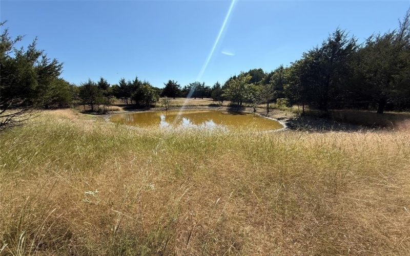 18081 Burden Ranch, Farmersville, TX 75442, ,Otro,En Venta,18081 Burden Ranch,0,21085768