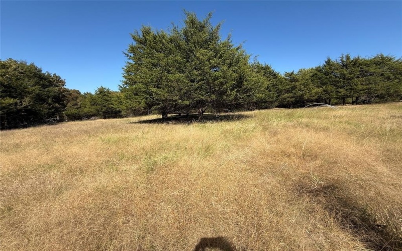 18081 Burden Ranch, Farmersville, TX 75442, ,Otro,En Venta,18081 Burden Ranch,0,21085768
