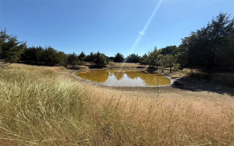 18081 Burden Ranch, Farmersville, TX 75442, ,Otro,En Venta,18081 Burden Ranch,0,21085768