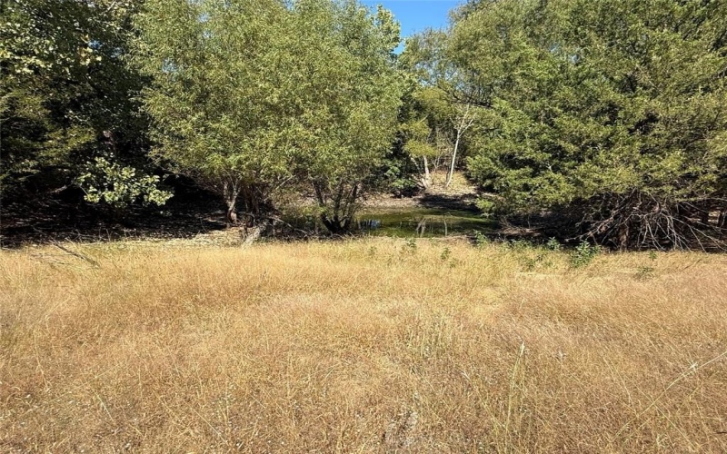 18081 Burden Ranch, Farmersville, TX 75442, ,Otro,En Venta,18081 Burden Ranch,0,21085768