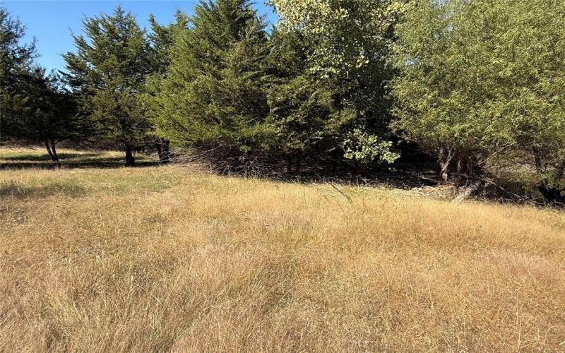 18081 Burden Ranch, Farmersville, TX 75442, ,Otro,En Venta,18081 Burden Ranch,0,21085768