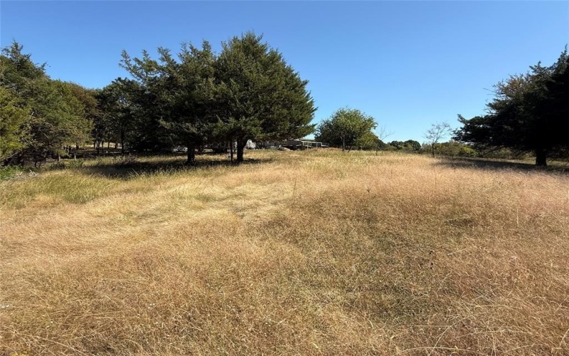 18081 Burden Ranch, Farmersville, TX 75442, ,Otro,En Venta,18081 Burden Ranch,0,21085768