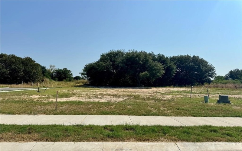 1236 High Street, Navasota, TX 77868, 3 Bedrooms Bedrooms, ,2 BathroomsBathrooms,Residential,For Sale,1236 High Street,0,25010666