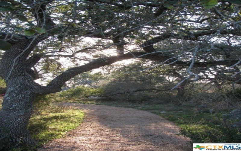 584 Tobacco Pass, New Braunfels, TX 78132, 4 Habitaciones Habitaciones , ,2 BañosBaños,Residential,En Venta,584 Tobacco Pass,0,475459