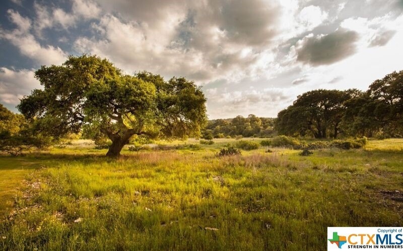 584 Tobacco Pass, New Braunfels, TX 78132, 4 Habitaciones Habitaciones , ,2 BañosBaños,Residential,En Venta,584 Tobacco Pass,0,475459