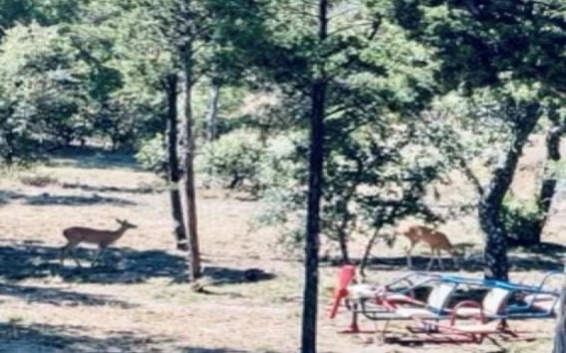 4674 Azle Highway, Weatherford, TX 76085, 4 Bedrooms Bedrooms, ,3 BathroomsBathrooms,Residential,For Sale,4674 Azle Highway,0,21072188