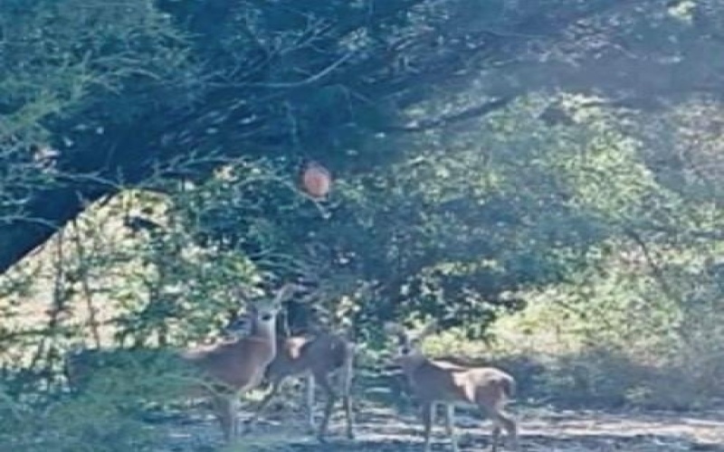 4674 Azle Highway, Weatherford, TX 76085, 4 Bedrooms Bedrooms, ,3 BathroomsBathrooms,Residential,For Sale,4674 Azle Highway,0,21072188