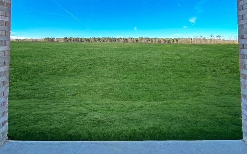 365 Hummingbird Lane, Princeton, LA 71067, 3 Habitaciones Habitaciones , ,2 BañosBaños,Residential,En Venta,365 Hummingbird Lane,0,21086237