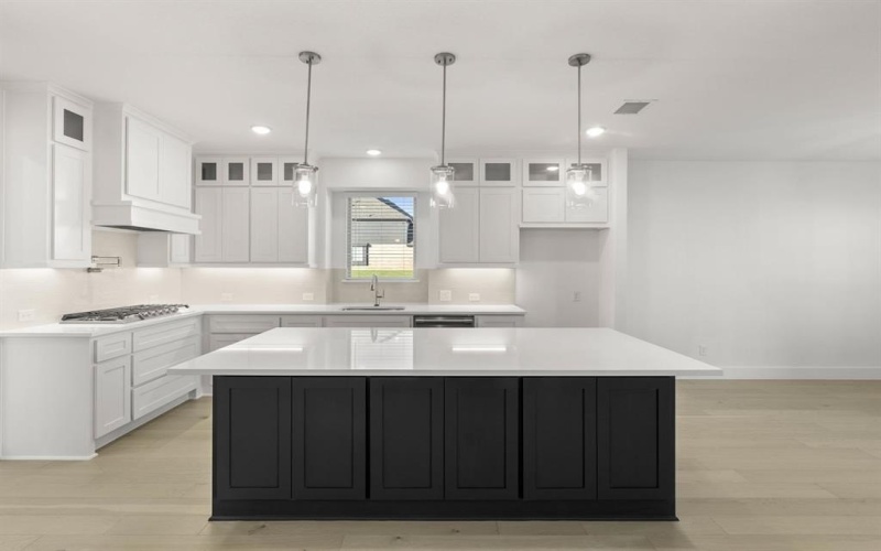 290 Cheyenne Mountain Drive, Ovilla, TX 75154, 5 Bedrooms Bedrooms, ,5 BathroomsBathrooms,Residential,For Sale,290 Cheyenne Mountain Drive,0,21087695