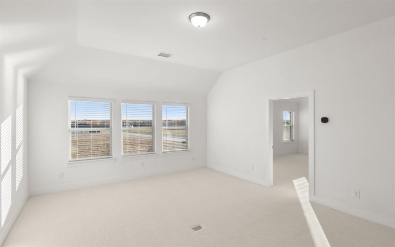 290 Cheyenne Mountain Drive, Ovilla, TX 75154, 5 Bedrooms Bedrooms, ,5 BathroomsBathrooms,Residential,For Sale,290 Cheyenne Mountain Drive,0,21087695