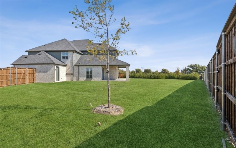 1320 Villanova Lane, Prosper, TX 75078, 6 Bedrooms Bedrooms, ,5 BathroomsBathrooms,Residential,For Sale,1320 Villanova Lane,0,21083022