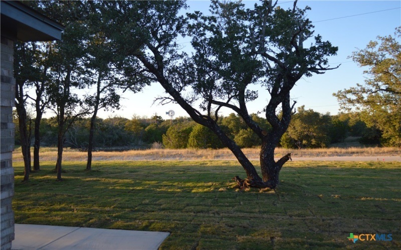 174 County Road 3154, Kempner, TX 76539, 4 Bedrooms Bedrooms, ,2 BathroomsBathrooms,Residential,For Sale,174 County Road 3154,0,595741