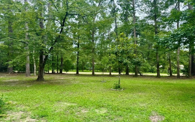 379 Stonehenge Drive, Woodville, TX 75979, 3 Bedrooms Bedrooms, ,2 BathroomsBathrooms,Residential,For Sale,379 Stonehenge Drive,0,5105465