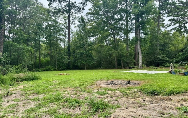 379 Stonehenge Drive, Woodville, TX 75979, 3 Bedrooms Bedrooms, ,2 BathroomsBathrooms,Residential,For Sale,379 Stonehenge Drive,0,5105465