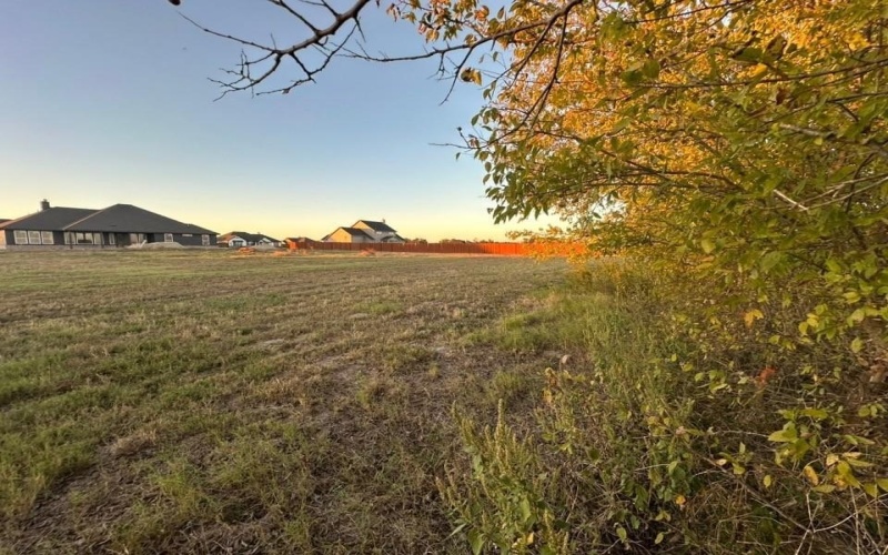 2472 Blackjack Oak Road, Oak Ridge, TX 75161, 4 Bedrooms Bedrooms, ,3 BathroomsBathrooms,Residential,For Sale,2472 Blackjack Oak Road,0,21091379