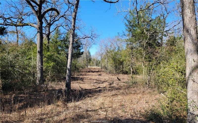 Lot 26 Forest Glen Court, Franklin, TX 77856, 4 Habitaciones Habitaciones , ,3 BañosBaños,Residential,En Venta,Lot 26 Forest Glen Court,0,25001718