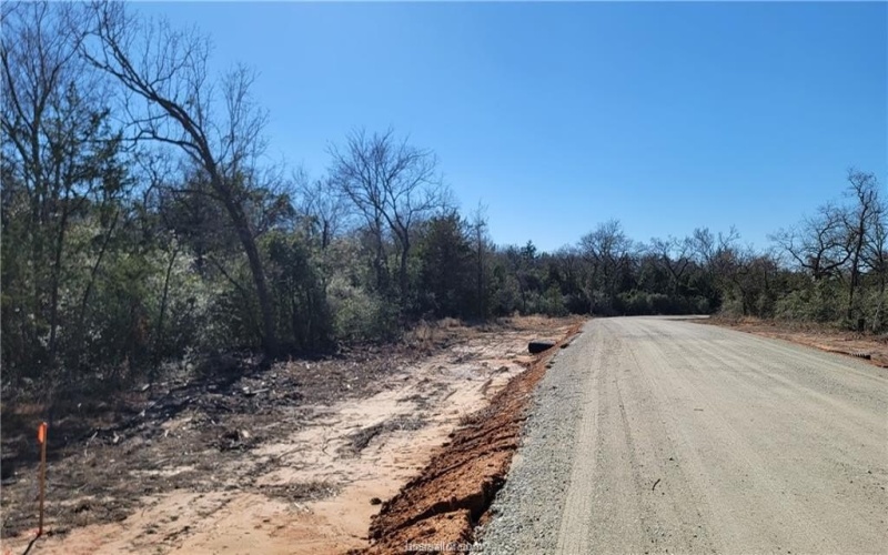 Lot 26 Forest Glen Court, Franklin, TX 77856, 4 Habitaciones Habitaciones , ,3 BañosBaños,Residential,En Venta,Lot 26 Forest Glen Court,0,25001718