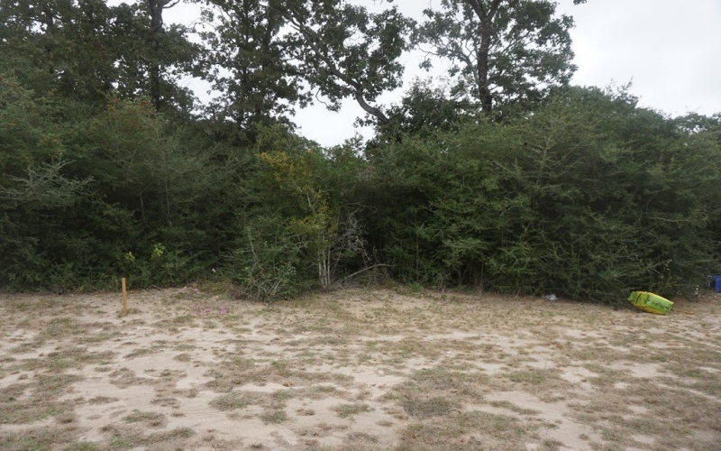 4295 Cr 2611, OAKWOOD, TX 75855, 3 Habitaciones Habitaciones , ,2 BañosBaños,Residential,En Venta,4295 Cr 2611,0,101671