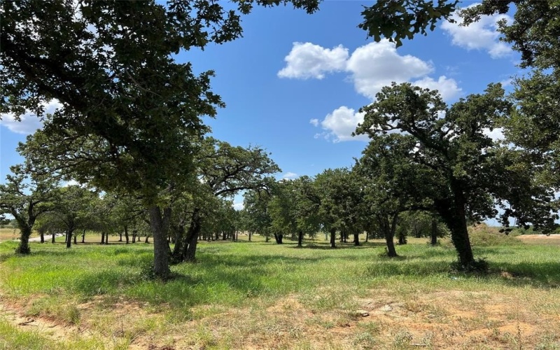 800 Purselly Court, Weatherford, TX 76087, 5 Bedrooms Bedrooms, ,3 BathroomsBathrooms,Residential,For Sale,800 Purselly Court,0,21096070 800 Purselly Court, Weatherford, TX 76087, 5 Bedrooms Bedrooms, ,3 BathroomsBathrooms,Residential,For Sale,800 Purselly Court,0,21096070