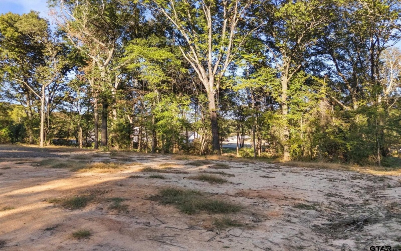 14608 FM 2964, Whitehouse, TX 75791, 3 Bedrooms Bedrooms, ,2 BathroomsBathrooms,Residential,For Sale,14608 FM 2964,0,25015819