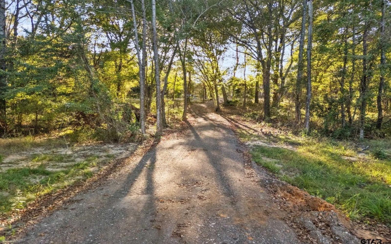 14608 FM 2964, Whitehouse, TX 75791, 3 Bedrooms Bedrooms, ,2 BathroomsBathrooms,Residential,For Sale,14608 FM 2964,0,25015819