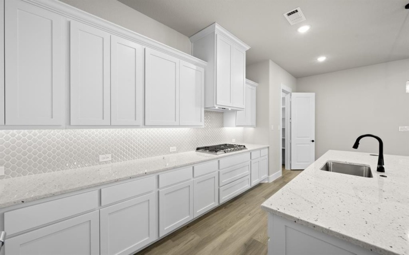 217 Raveena Boulevard, Justin, TX 76247, 2 Habitaciones Habitaciones , ,2 BañosBaños,Residential,En Venta,217 Raveena Boulevard,0,21096969