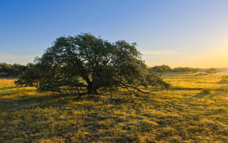 0 CR 224 W, Lampasas, TX 76550, 3 Bedrooms Bedrooms, ,2 BathroomsBathrooms,Residential,For Sale,0 CR 224 W,0,175519