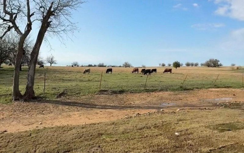 60 Zion Way, Valley View, TX 76272, 4 Habitaciones Habitaciones , ,2 BañosBaños,Residential,En Venta,60 Zion Way,0,21098047